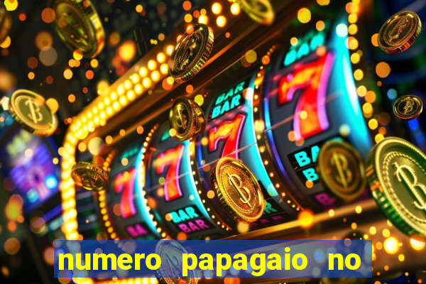 numero papagaio no jogo do bicho